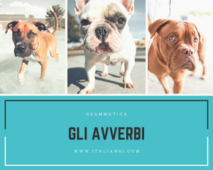 GRAMMATICA - GLI AVVERBI: cosa sono, come si formano e quando si usano